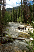 #115NP Adams Falls, Rocky Mountain National Park, Colorado 2011