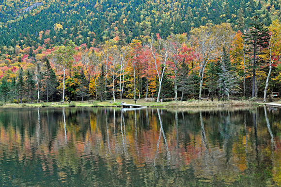 #136L Crawford Notch State Park, New Hampshire, Willey House Pond 2014