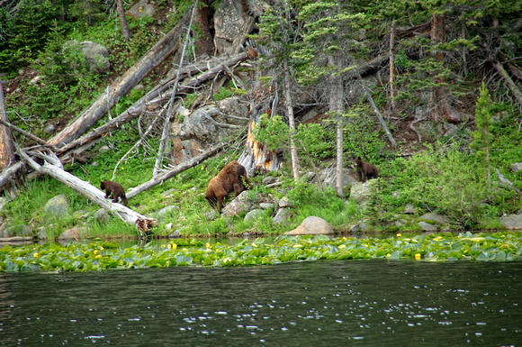 #045A Cub Lake, Rocky Mountain National Park, Colorado 2011
