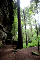 #489NP The Ledges Trail, Cuyahoga Valley National Park, Ohio 2021