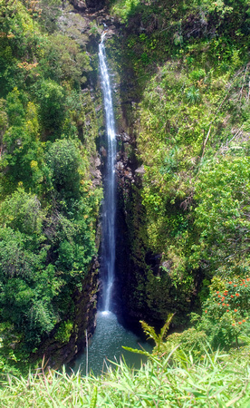 #028W The Road to Hana Lower, Puohokamoa Falls, Maui 2010