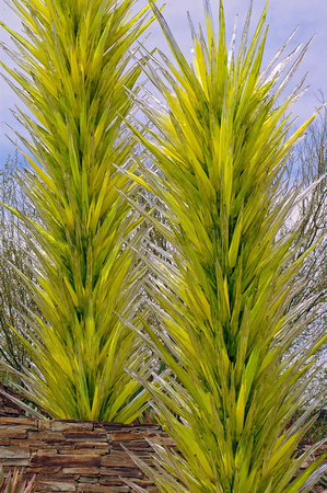 #015T Botanical Gardens, Phoenix, Arizona 2009