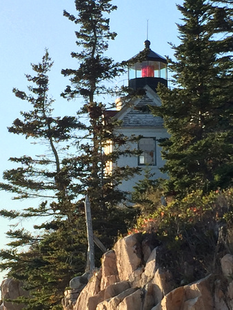 #470P Bass Harbor Head Light Station, Acadia National Park, Maine 2019