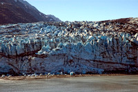 #019NP Glacier Bay National Park, Alaska 2007