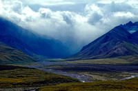 #009NP Denali National Park, Alaska 2007