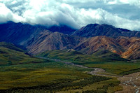 #008NP Denali National Park, Alaska 2007