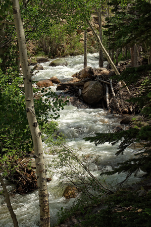 #117NP Alberta Falls, Rocky Mountain National Park, Colorado 2011