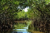 #148NP Everglades National Park, Florida 2013