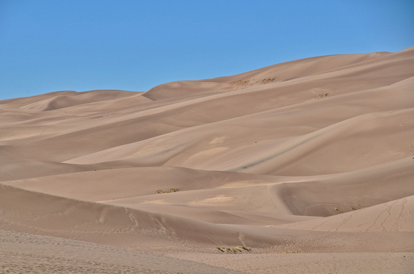 #232NP Great Sand Dunes National Park, Colorado 2015