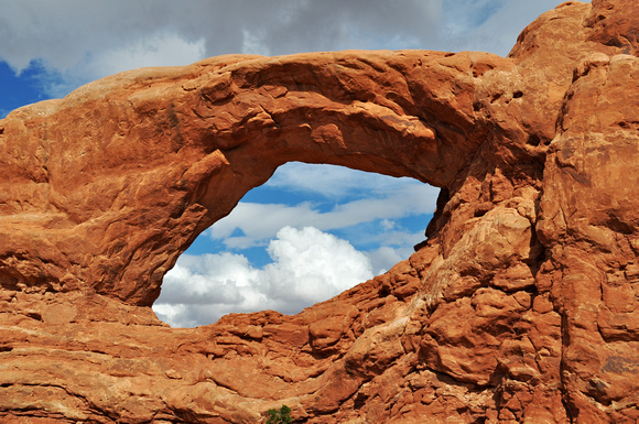 #194NP Arches National Park, Utah 2015