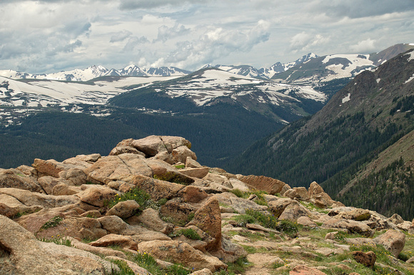 #126NP Trail Ridge Road, Rocky Mountain National Park, Colorado 2011