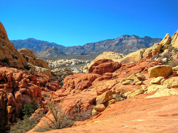 #078M Red Rock, Nevada 2010